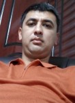 Timur, 31  , Tashkent