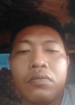 Riswan, 35, Indonesia, Jambi