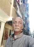 مصرى احمد عوض ال, 63  , Alexandria