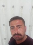 Mustafa, 40 лет, Köşk