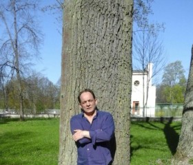 Руслан, 56 лет, Пушкин