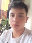 Andres felipe, 24 года, Itagüí