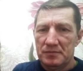 Наиль Абилов, 56 лет, Нефтеюганск