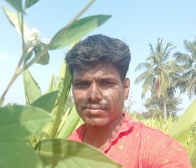 Palani, 38 лет, Bangalore