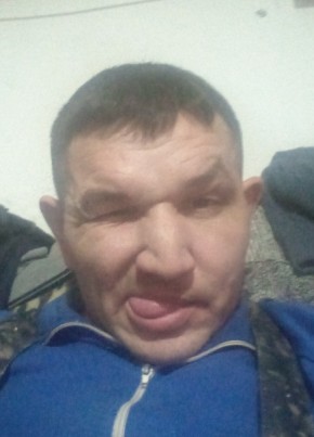 Алекс, 41, Россия, Березовка