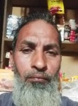 Asghar Ali, 49 лет, لاہور