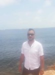 مصطفى, 31, Alexandria