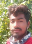 Indresh Kumar, 19 лет, Ahmedabad