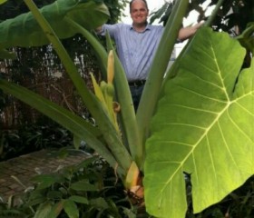 Alexander, 50, Gossau