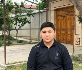 Davronbek, 20 лет, Toshkent
