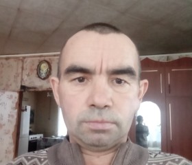 Юрий Волков, 48 лет, Красные Четаи