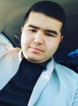 Alisher, 29 лет, Toshkent