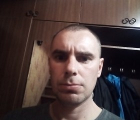 Андрей, 42 года, Шуя