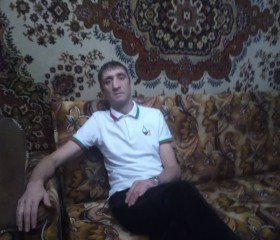 Роман, 45 лет, Димитровград