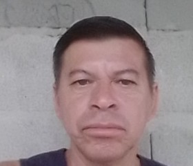 Jesús manuel, 45 лет, Barinas