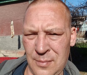 Степан, 43 года, Алматы