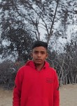 parneetbhargav, 19 лет, Jaipur