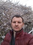 Mikhail, 42 года, Барнаул