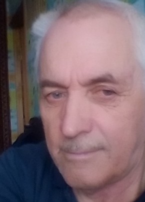 Виктор, 69, Россия, Рязань