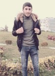 Fatih, 23 года, Horasan