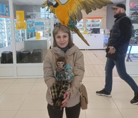 Светлана, 36 лет, Киселевск