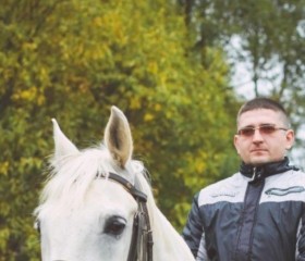 Сергей, 40 лет, Владимир
