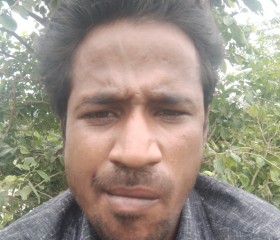 Shashi kathumar, 26 лет, New Delhi