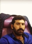 yağmur reyis, 33 года, Silopi