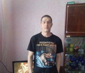 Иван, 43 года, Двинской Березник
