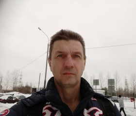 Антон Шамин, 43 года, Покров