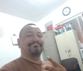 Danny, 45, Chihuahua