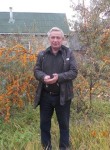 Владимир, 71 год, Раменское