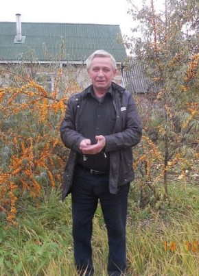 Владимир, 71, Россия, Раменское