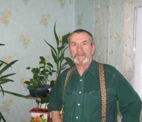 Георгий Алексе, 76 лет, Лысьва