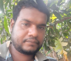 Kalai, 34 года, Pondicherri