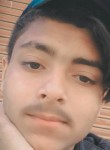 Aman Aman khan, 19 лет, Dhāmpur