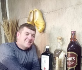 Дмитрий Флат, 46 лет, Калининград