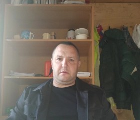 Дмитрий, 45 лет, Дедовичи