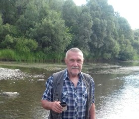Анатолий, 61 год, Бийск