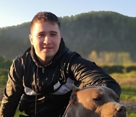 Артем, 33 года, Новопсков