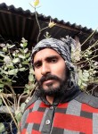 srhavan prajap, 33 года, Nagda