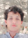 Sajid nawaz, 19 лет, رہ اسماعیل خان