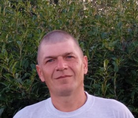 Алексей, 43 года, Талица