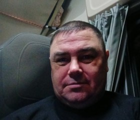 Oleg, 46, Saransk
