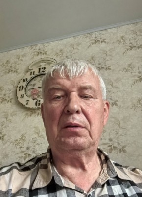 Vladimir, 74, Russia, Melenki