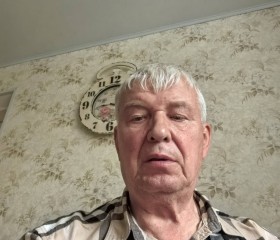 Vladimir, 74, Melenki