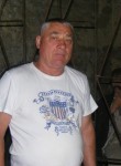 володимир, 71 год, Вінниця