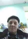 Виктор, 64 года, Ижевск