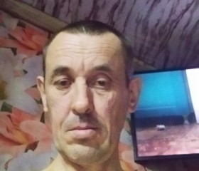 Евгений, 49 лет, Бикин