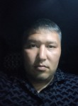 Али - Новосибирск